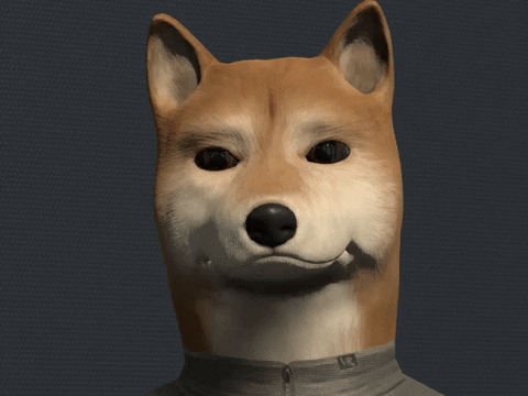Dog avatar